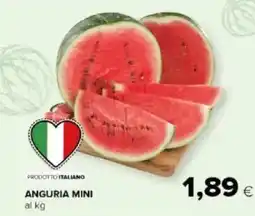Tigre Amico Anguria mini al kg offerta