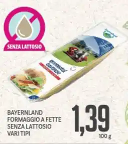 Supermercati Piccolo Bayernland formaggio a fette senza lattosio vari tipi offerta