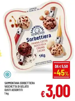 A&O Sammontana sorbettiera vaschetta di gelato gusti assortiti offerta