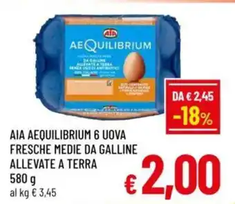 A&O Aia aequilibrium 6 uova fresche medie da galline allevate a terra offerta