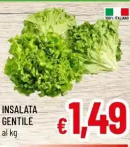 A&O Insalata gentile offerta