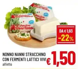 A&O Nonno nanni stracchino con fermenti lattici VIVI offerta