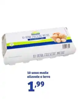 In'S Mercato 10 uova medie allevate a terra offerta