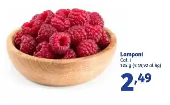 In'S Mercato Lamponi offerta