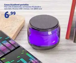 In'S Mercato Cassa bluethoot portatile offerta