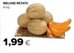 Tigre Melone retato offerta