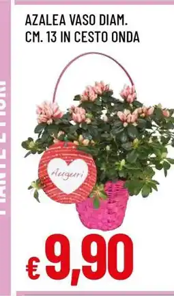 Famila AZALEA VASO DIAM. CM. 13 IN CESTO ONDA offerta