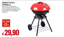 Famila BARBECUE SFERA A CARBONELLA offerta
