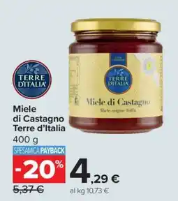 Carrefour Miele di Castagno Terre d’Italia offerta