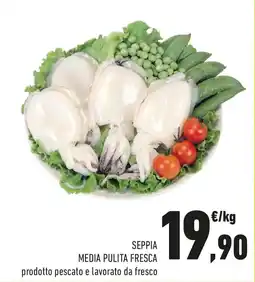 Conad Seppia media pulita fresca offerta