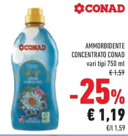 Conad Superstore Ammorbidente concentrato CONAD offerta