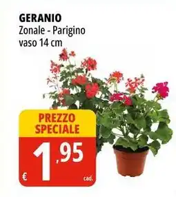 GERANIO Zonale - Parigino