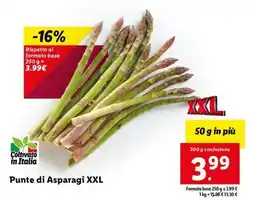 Lidl Punte di Asparagi XXL offerta