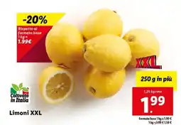 Lidl Limoni XXL offerta