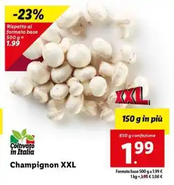 Lidl Champignon XXL offerta