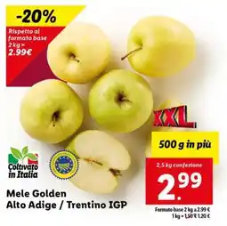 Lidl Mele Golden Alto Adige / Trentino IGP offerta