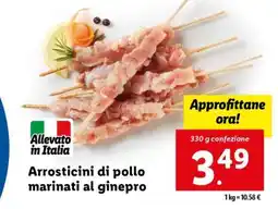 Lidl Arrosticini di pollo marinati al ginepro offerta