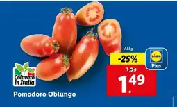 Lidl Pomodoro Oblungo offerta
