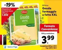 Lidl Milbona Gouda formaggio a fette XXL offerta