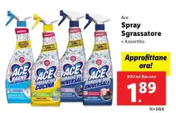 Lidl Ace Spray Sgrassatore offerta