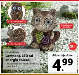 Lidl LIVARNO home Lampada LED ad energia solare offerta