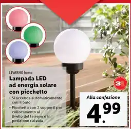 Lidl Lampada LED ad energia solare con picchetto offerta