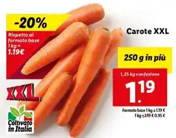 Lidl Carote XXL offerta