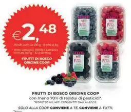 Coop FRUTTI DI BOSCO ORIGINE COOP offerta