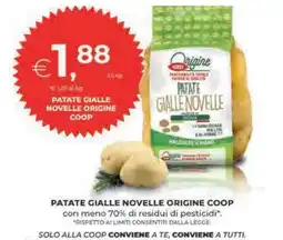 Coop PATATE GIALLE NOVELLE ORIGINE COOP offerta