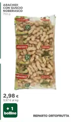 Coop ARACHIDI CON GUSCIO NOBERASCO offerta