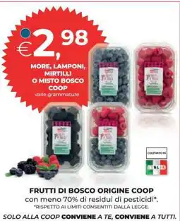 Coop MORE, LAMPONI, MIRTILLI O MISTO BOSCO COOP offerta