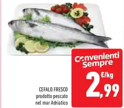 Conad Superstore Cefalo fresco prodotto pescato nel mar adriatico offerta