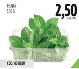 Carico Cash & Carry Menta offerta