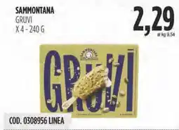 Carico Cash & Carry Sammontana gruvi x4 offerta