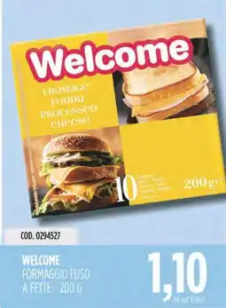 Carico Cash & Carry Welcome formaggio fuso a fette offerta