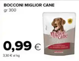 Tigre Almo nature holistic sterilised bocconi miglior cane offerta