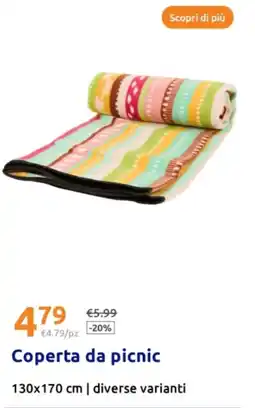 Action Coperta da picnic offerta