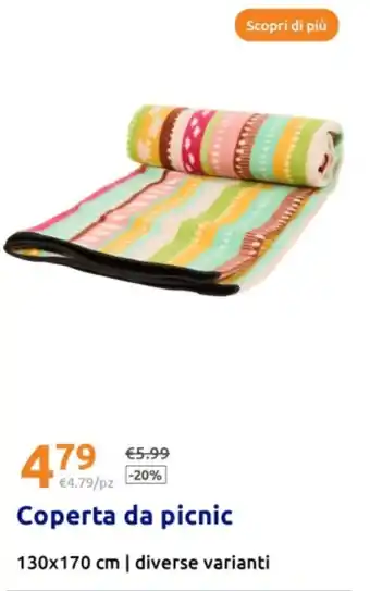 Action Coperta da picnic offerta