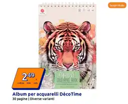 Action Album per acquarelli DécoTime offerta