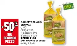Gallette di mais BIO PAM