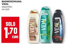 Pam Bagnoschiuma VIDAL offerta