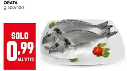 Pam Orata offerta