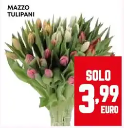 Pam Mazzo tulipani offerta