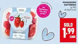Pam Pomodoro datterino offerta