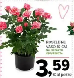 Todis Roselline vaso offerta
