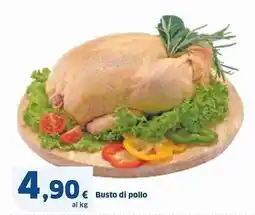 Sigma Busto di pollo offerta
