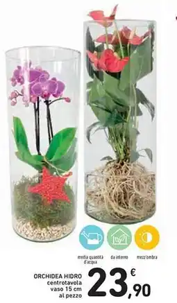 Spazio Conad Orchidea hidro centrotavola vaso al pezzo offerta