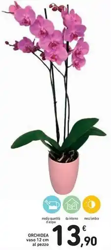 Spazio Conad Orchidea vaso offerta