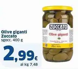 Sigma Olive giganti Zuccato offerta