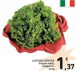 Spazio Conad Lattuga gentile origine italia, categoria l al kg offerta